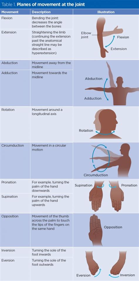 abduction meaning in physical education|Types of joint movement in the skeletal system .